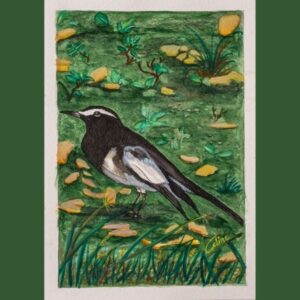 Black Bird